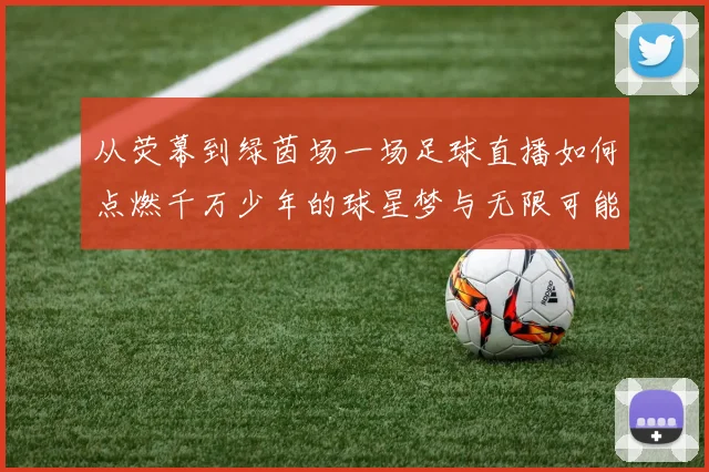 从荧幕到绿茵场一场足球直播如何点燃千万少年的球星梦与无限可能